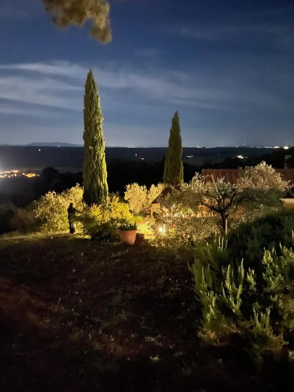 Casa Belvedere -tranquillità tra bosco e ulivi- House in Tuscany