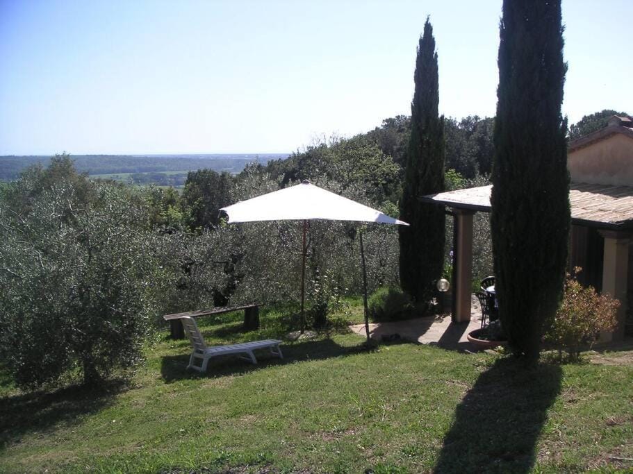 Casa Belvedere -tranquillità tra bosco e ulivi- House in Tuscany