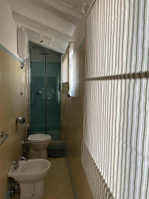 Shower, Toilet, Bathroom, bidet
