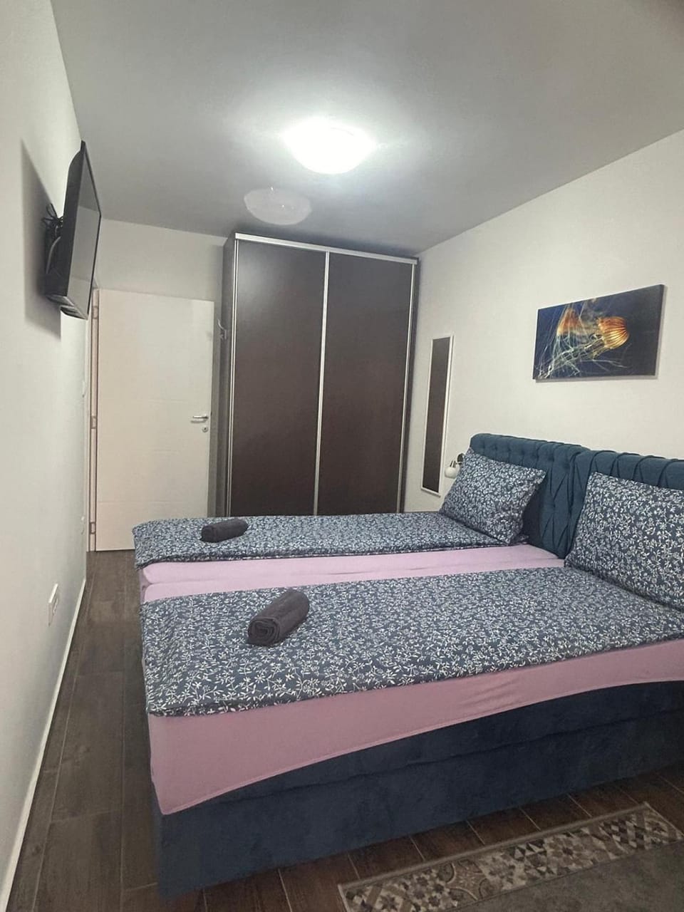 Imperial Apartment in Vojvodina