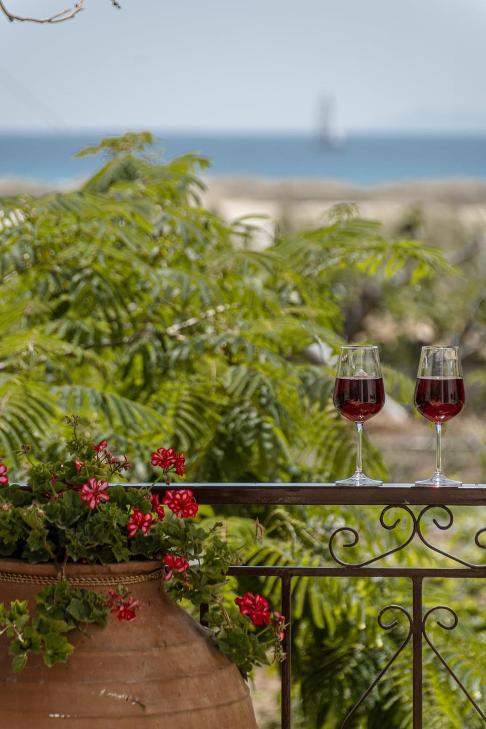 Natural landscape, Sea view, Drinks