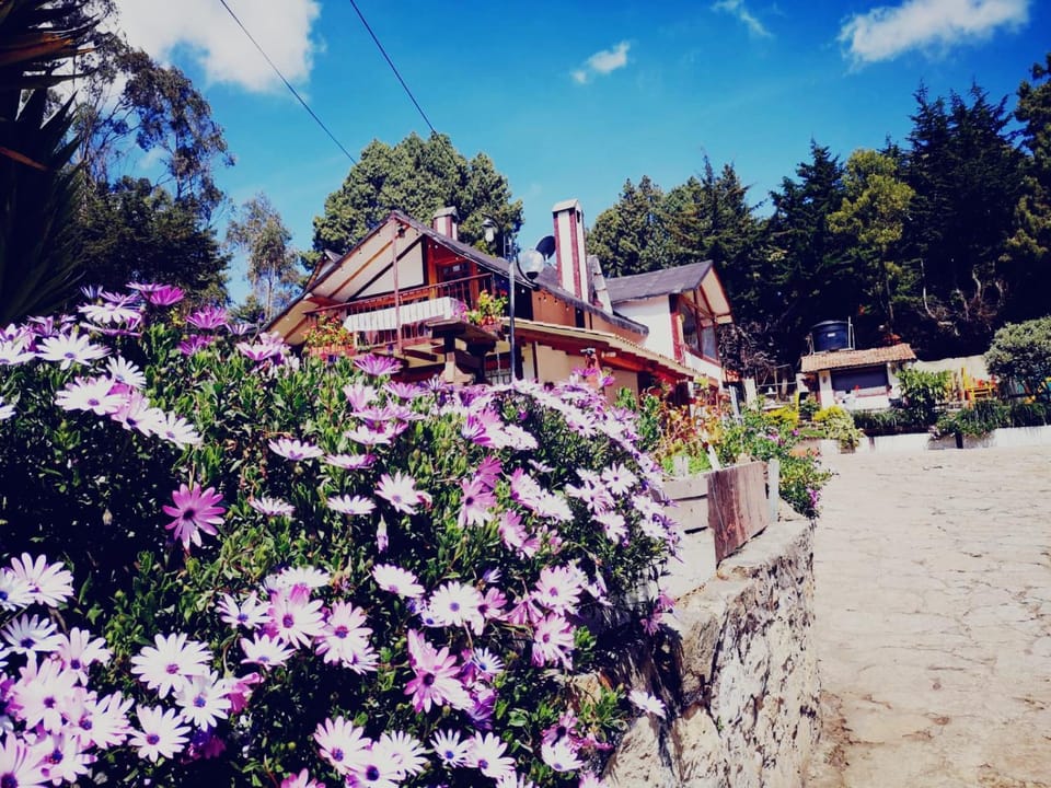 Property building, Restaurant/places to eat, Spring, Day, Natural landscape, Garden, Garden view