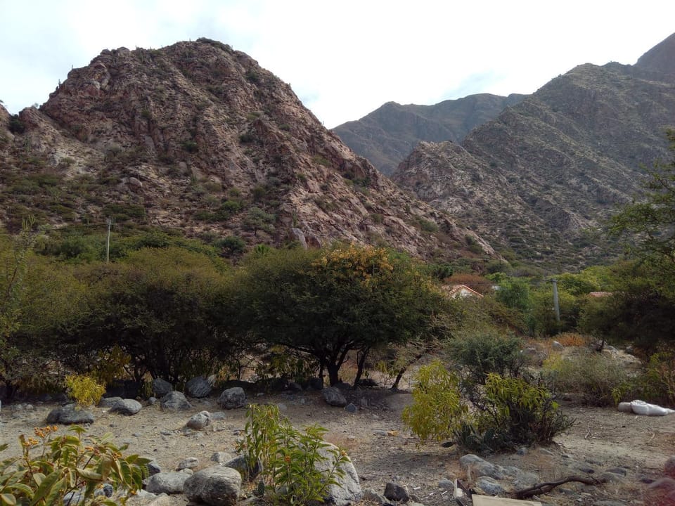Natural landscape