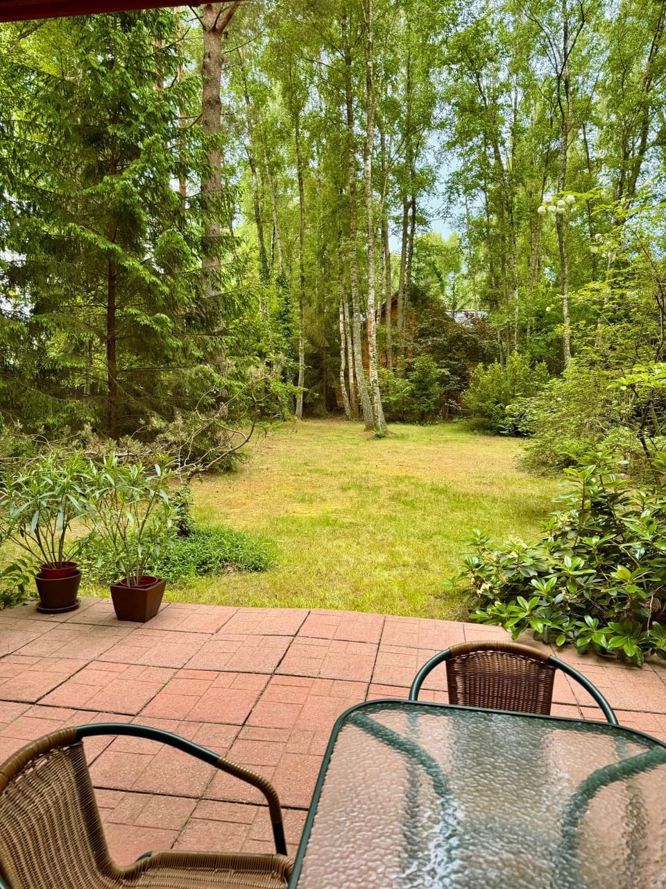 Spring, Day, Natural landscape, Garden, Garden, Balcony/Terrace, Garden view