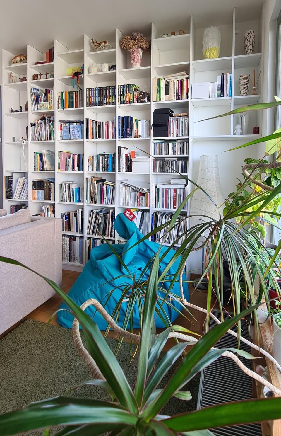 Library, Living room, Seating area