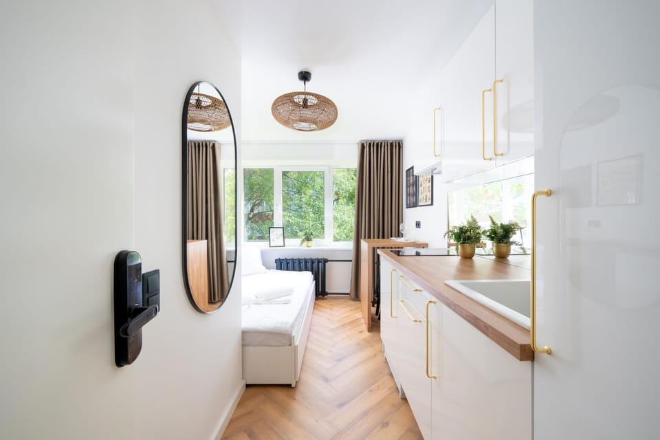 Bed, Kitchen or kitchenette, Living room, Photo of the whole room, Bedroom