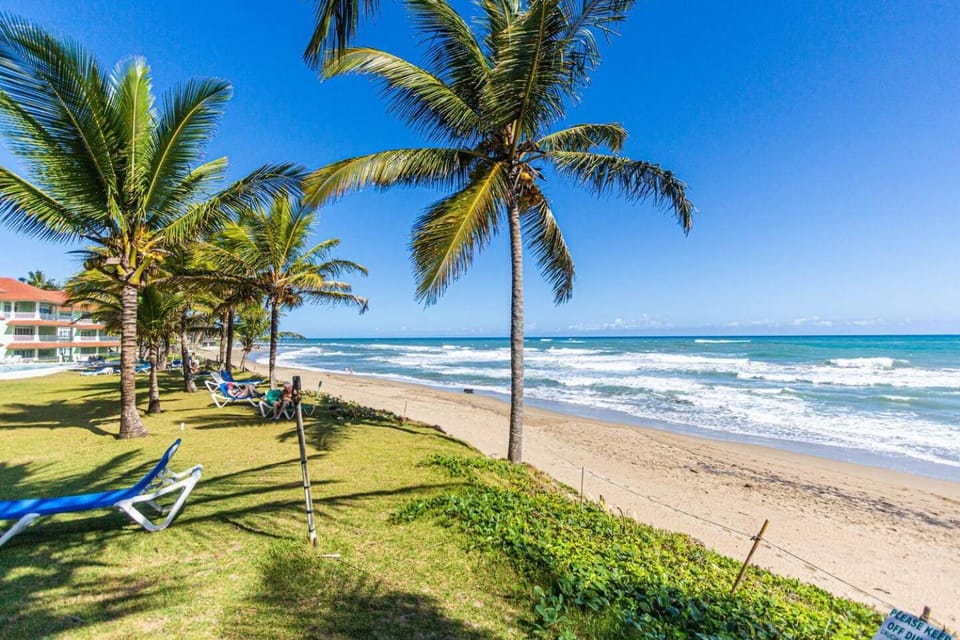 Nearby landmark, Natural landscape, Beach, Garden view, Garden view, Sea view, Sea view, sunbed