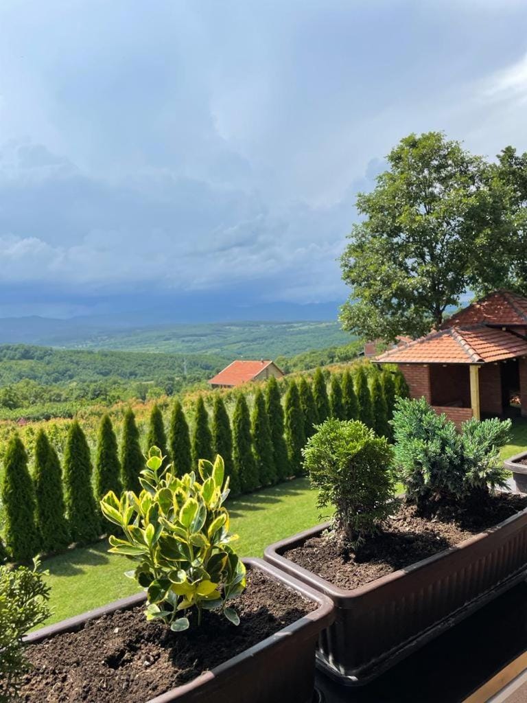 Apartmani Milosavljević Apartment in Serbia