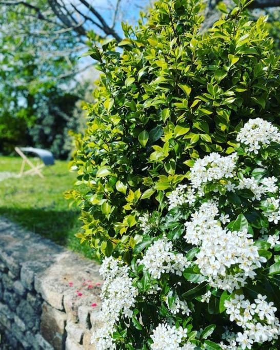 Location de charme, cosy La Maison de Keraudran House in Brittany