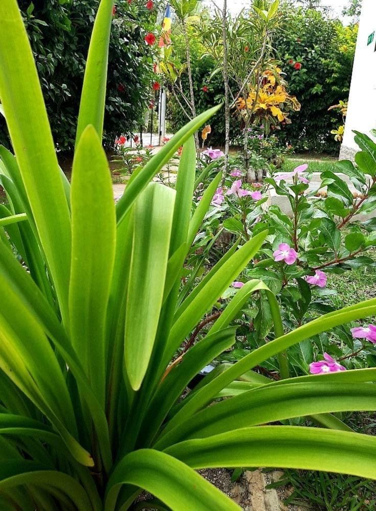 La Source Self Catering Bed and Breakfast in Africa