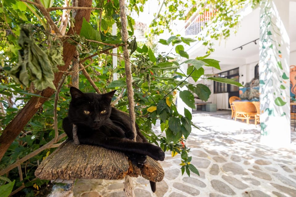 62 HOME House in Marmaris