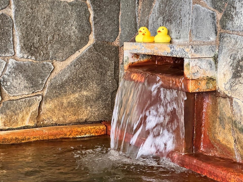 Hot Spring Bath, Public Bath