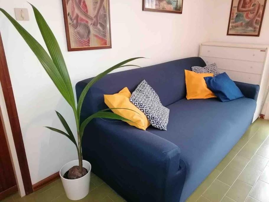 Living room, Photo of the whole room, Seating area