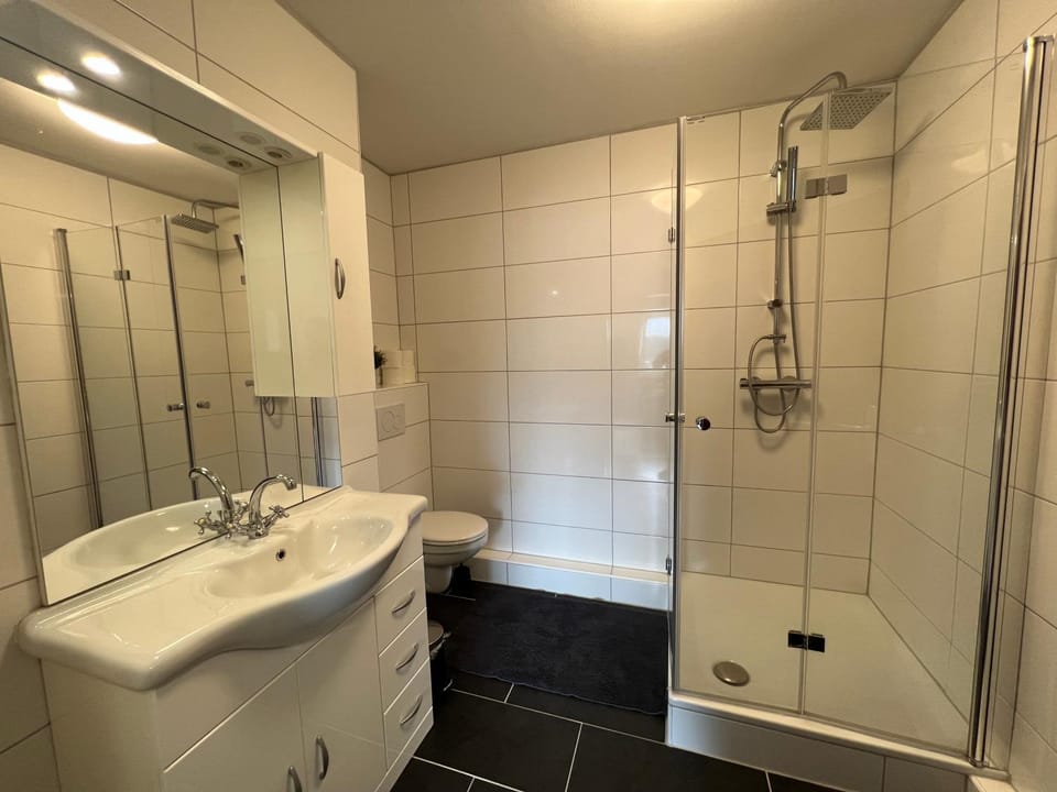 Shower, Toilet, Bathroom, towels
