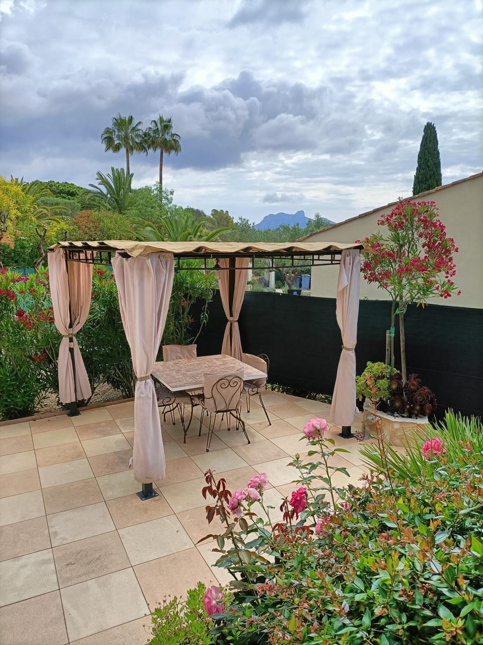Patio, Garden