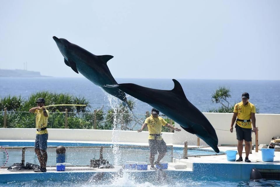 Maravilla Villa in Okinawa Prefecture