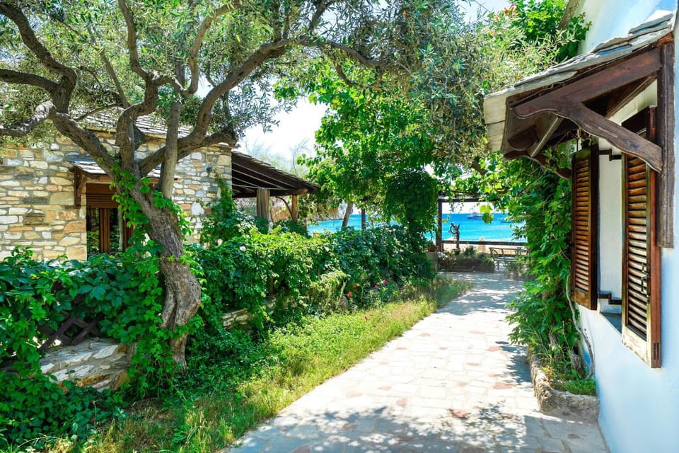 Property building, Garden, Garden view