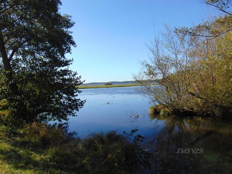 Natural landscape