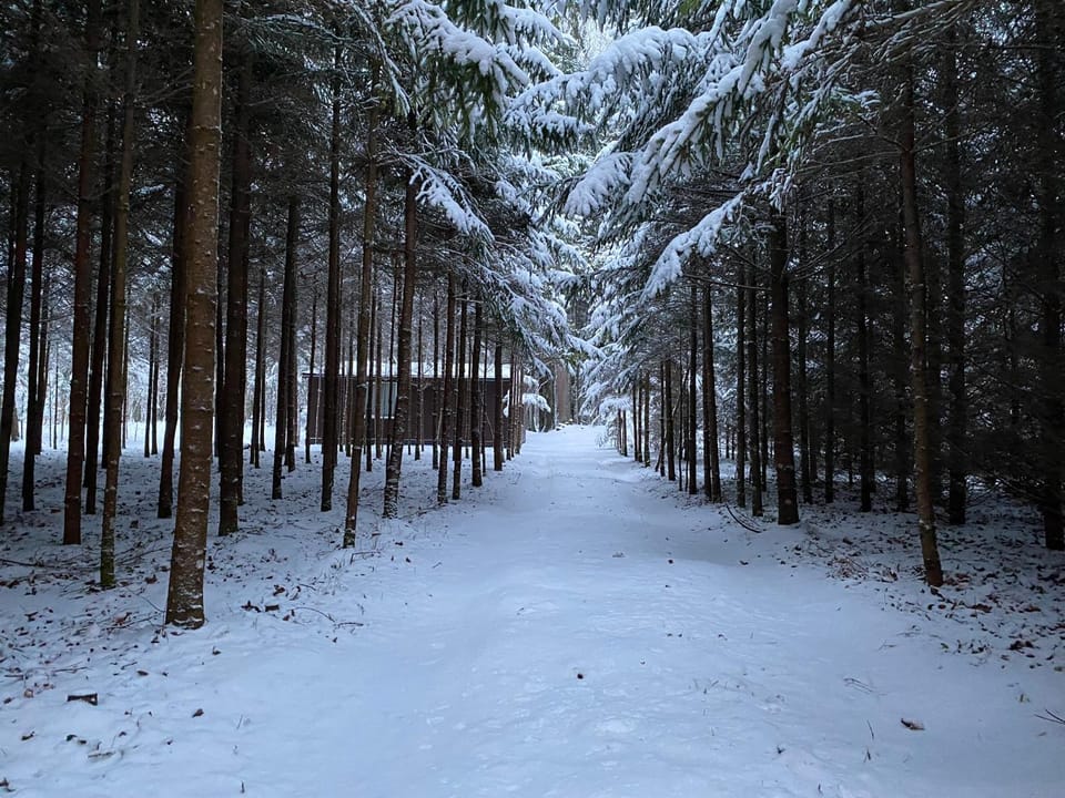 Miško sielos namelis su pirtele House in Lithuania