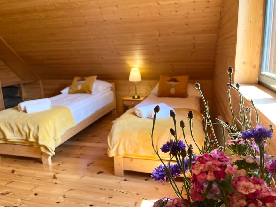 Okno na las Chalet in Lower Silesian Voivodeship