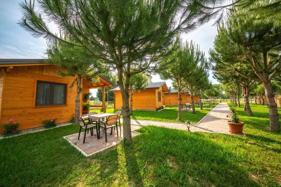 Property building, Patio, Natural landscape, Garden, Garden view