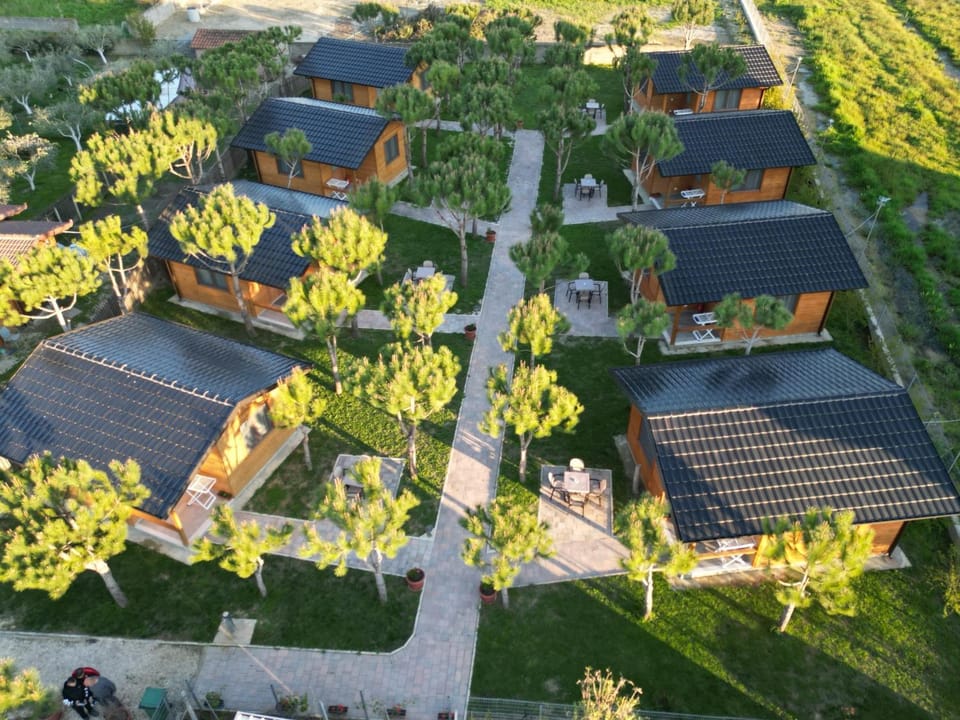 Villa Arda Villa in Tirana County, Albania