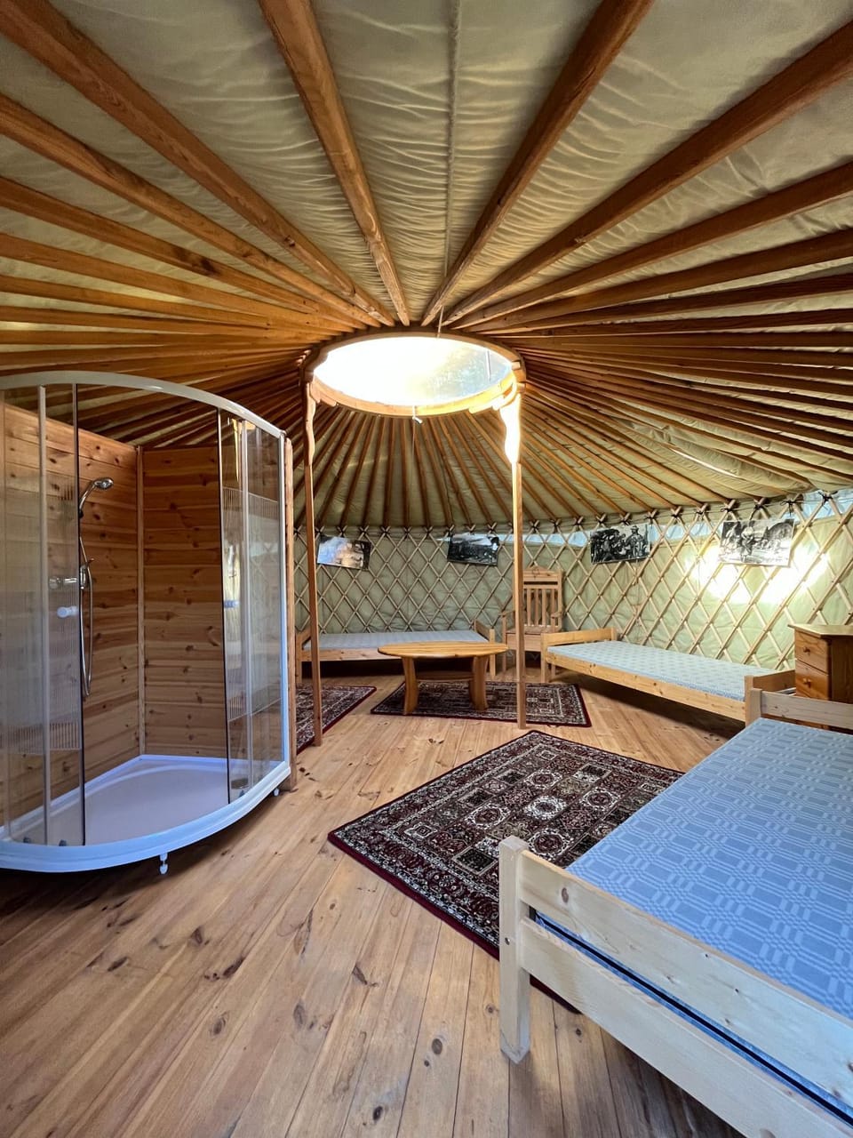 Shower, Bed