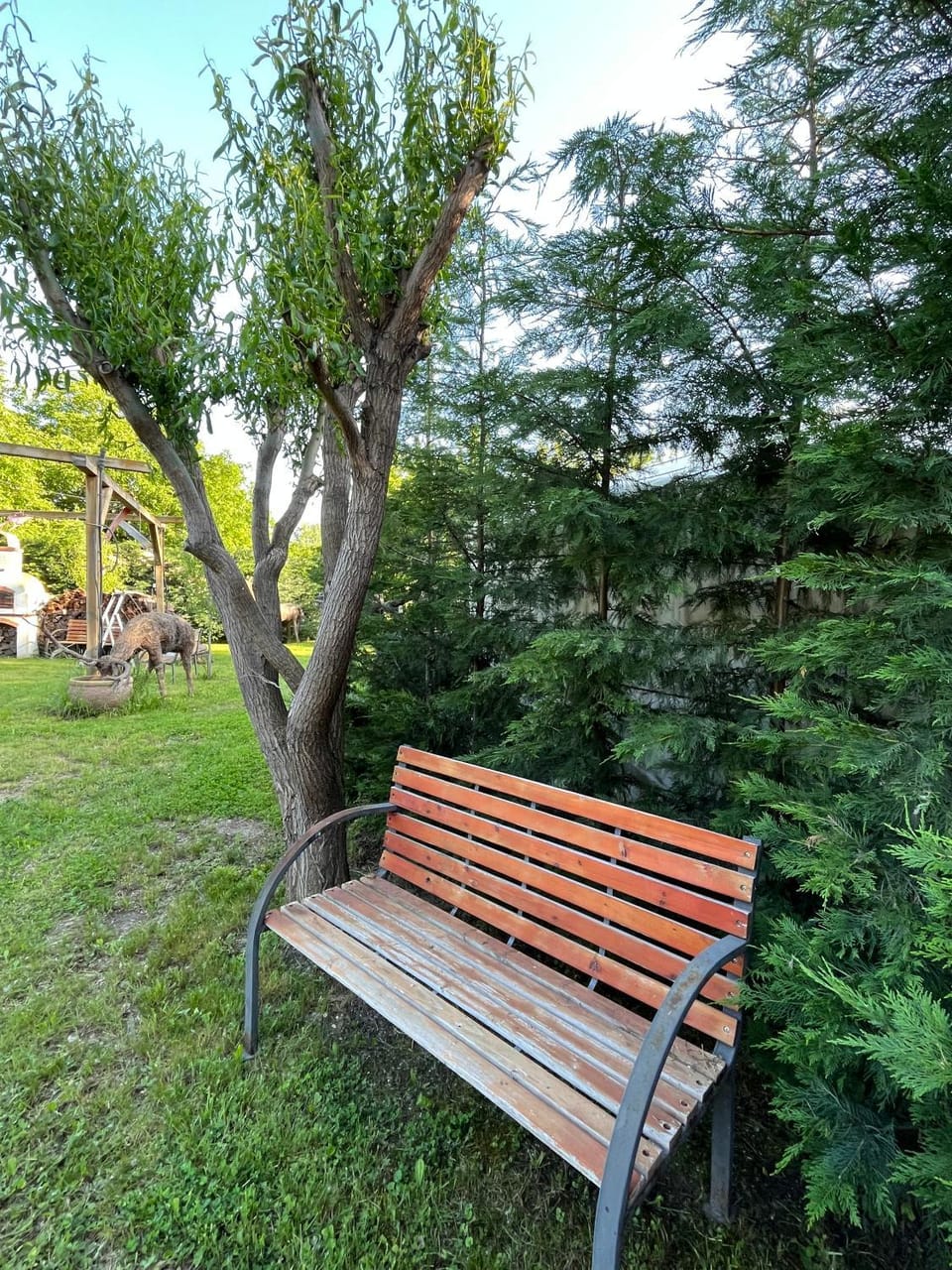 Natural landscape, Garden, Garden view