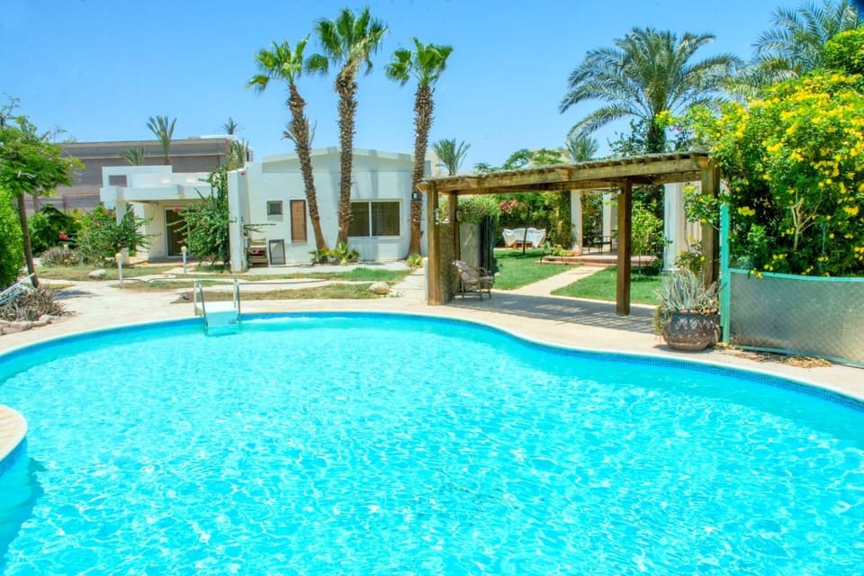 Garden view, Pool view, Swimming pool, sunbed