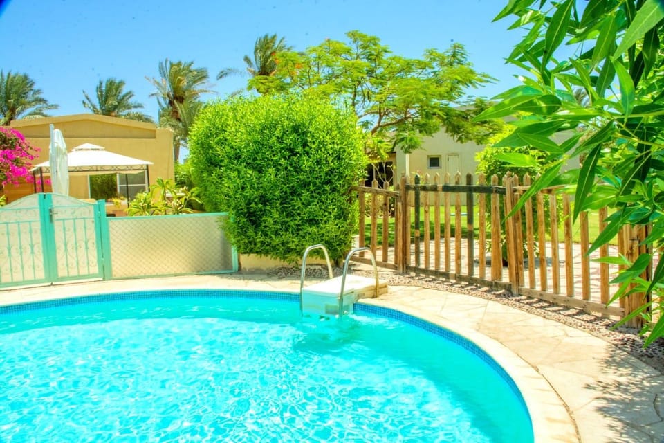 Day, Garden, Garden view, Pool view, Swimming pool, sunbed
