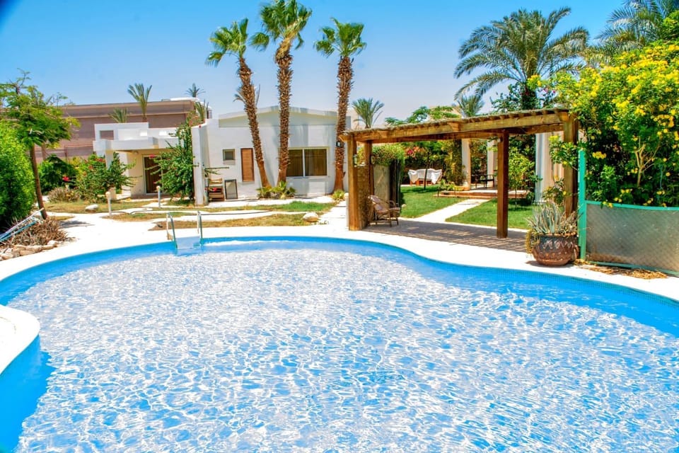Day, Garden, Garden view, Pool view, Swimming pool