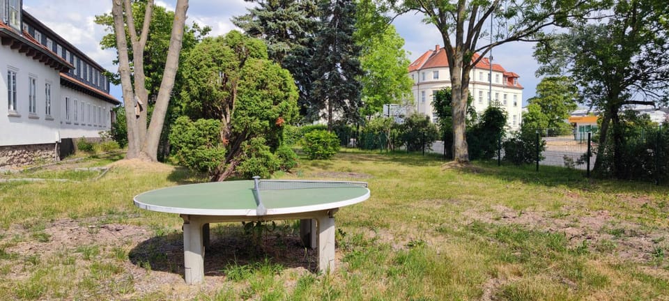 Garden, Table tennis