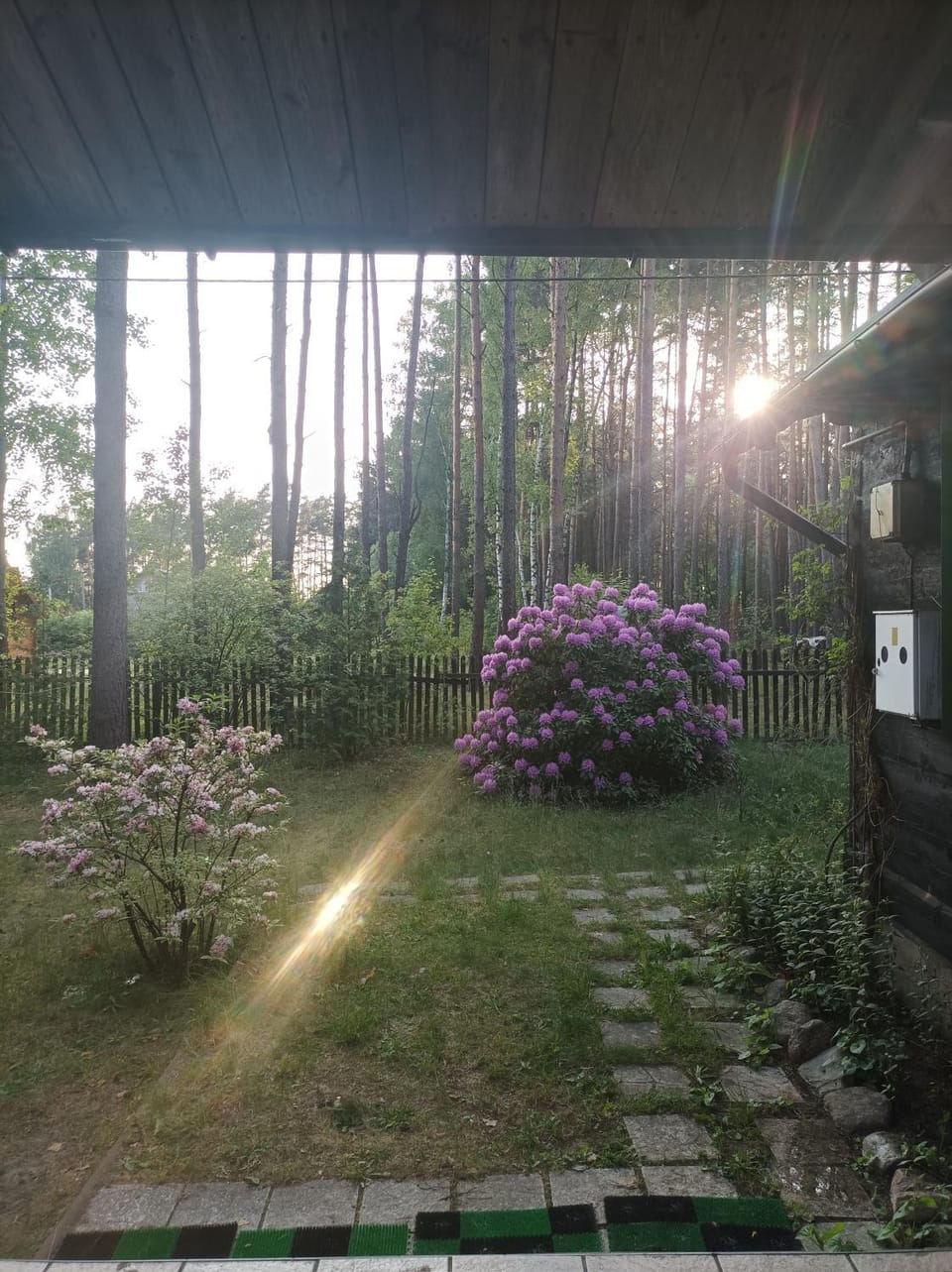 Fantastyczny domek w lesie House in Masovian Voivodeship