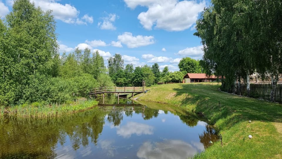 Lake view