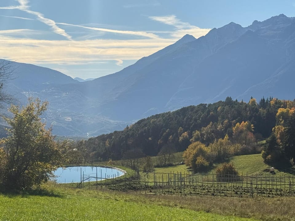 Ciasa Erica - Val di Non Apartment in Trentino-South Tyrol