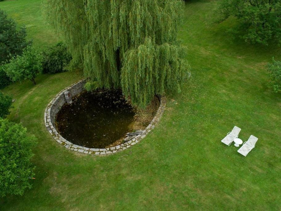 Garden, Garden, Garden view
