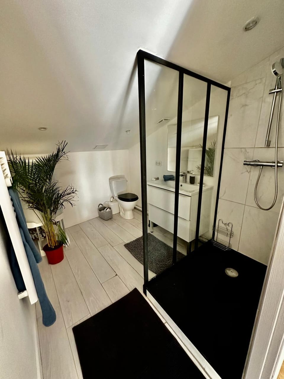 Shower, Bathroom