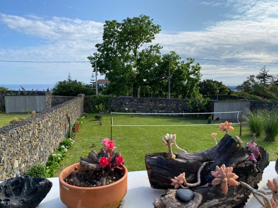 Patio, Day, Garden, Balcony/Terrace, Garden view