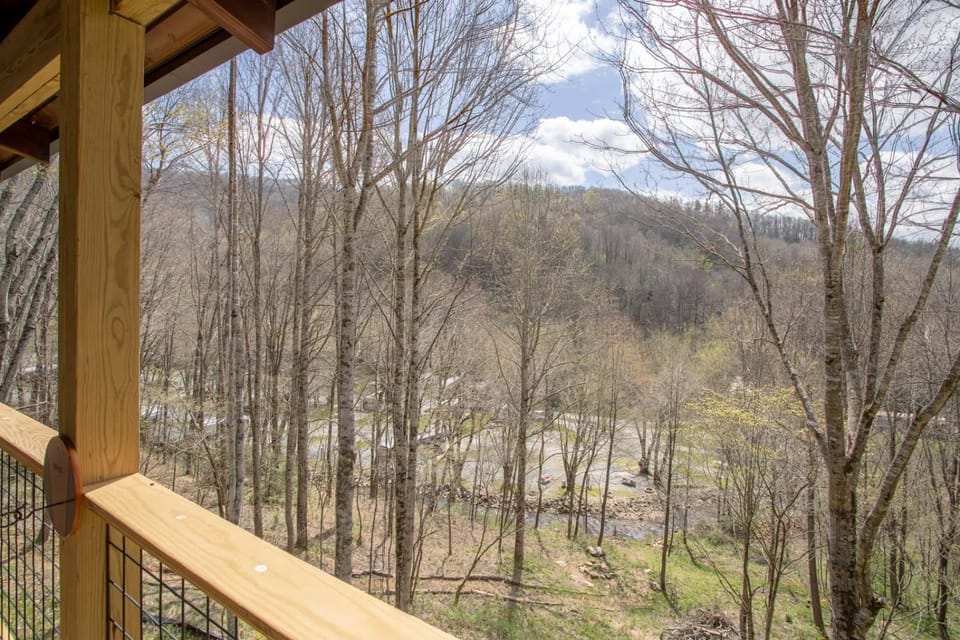 Eagles and Owls Cabin Cabin in Brushy Fork