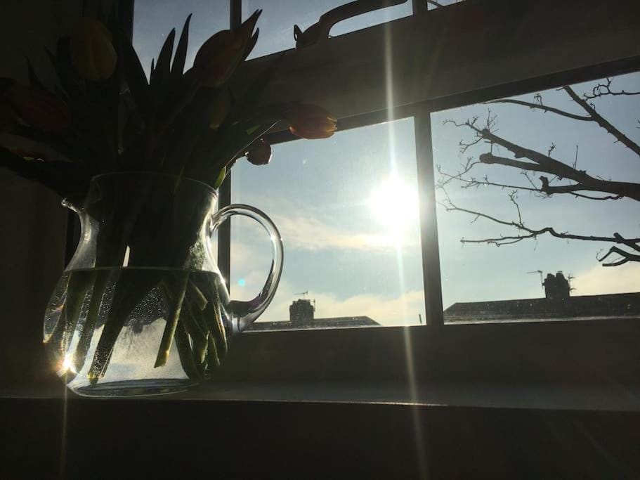 Brighton Boutique Garden Studio with Free Parking Apartment in Brighton