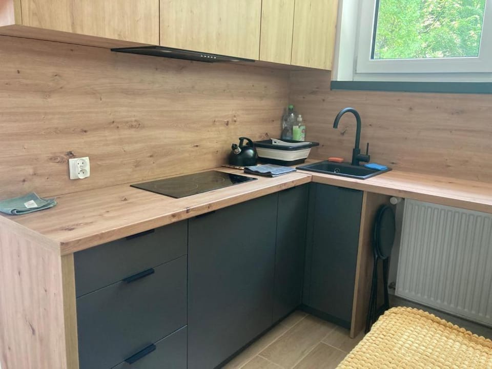 Lemon Apartment in Czechia
