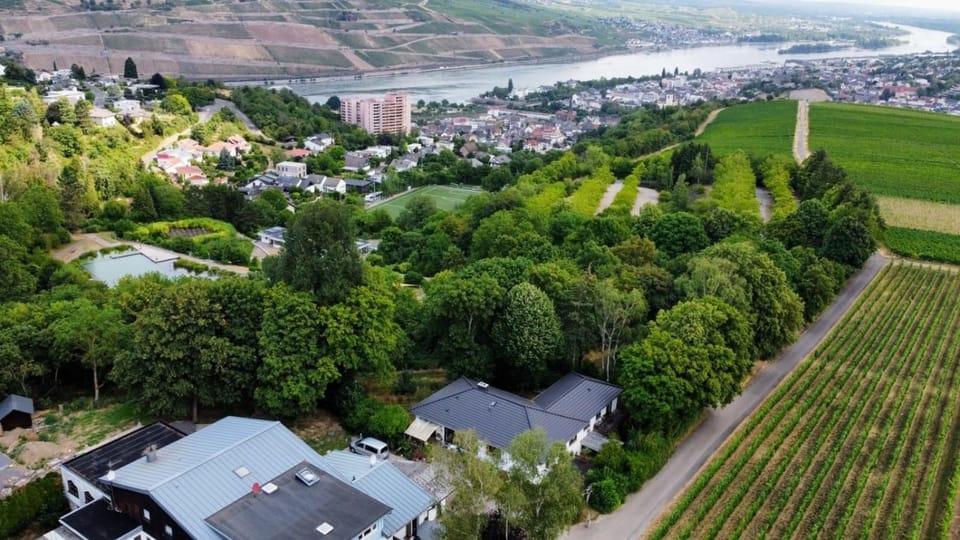 Birkennest Apartment in Mainz-Bingen