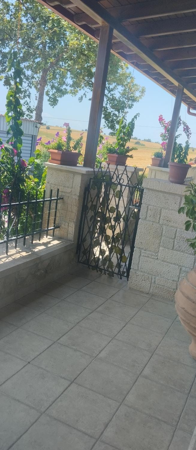 Garden view