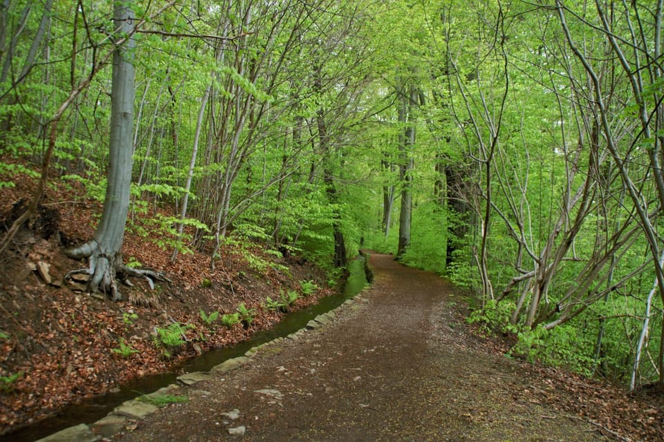 Spring, Natural landscape