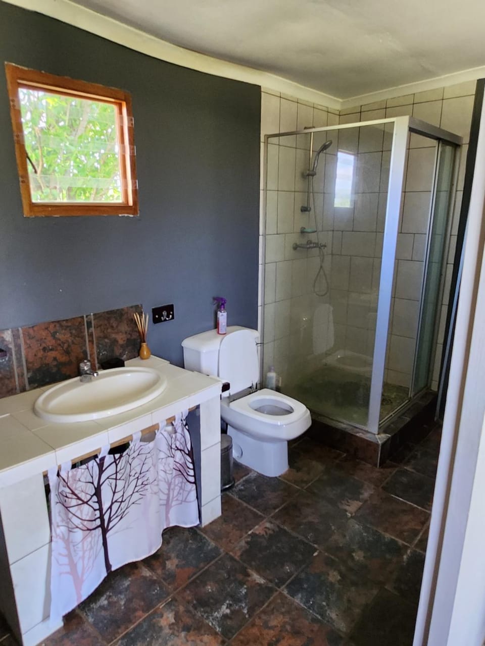 Shower, Toilet, Bathroom, bidet