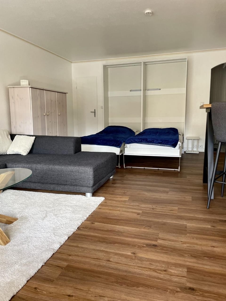 Bed, Living room, Photo of the whole room, Bedroom