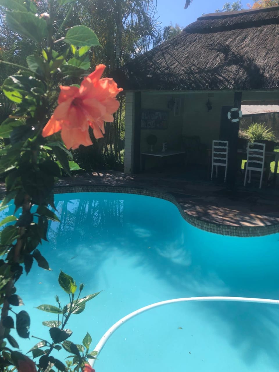 The Symphony Bed and Breakfast in KwaZulu-Natal