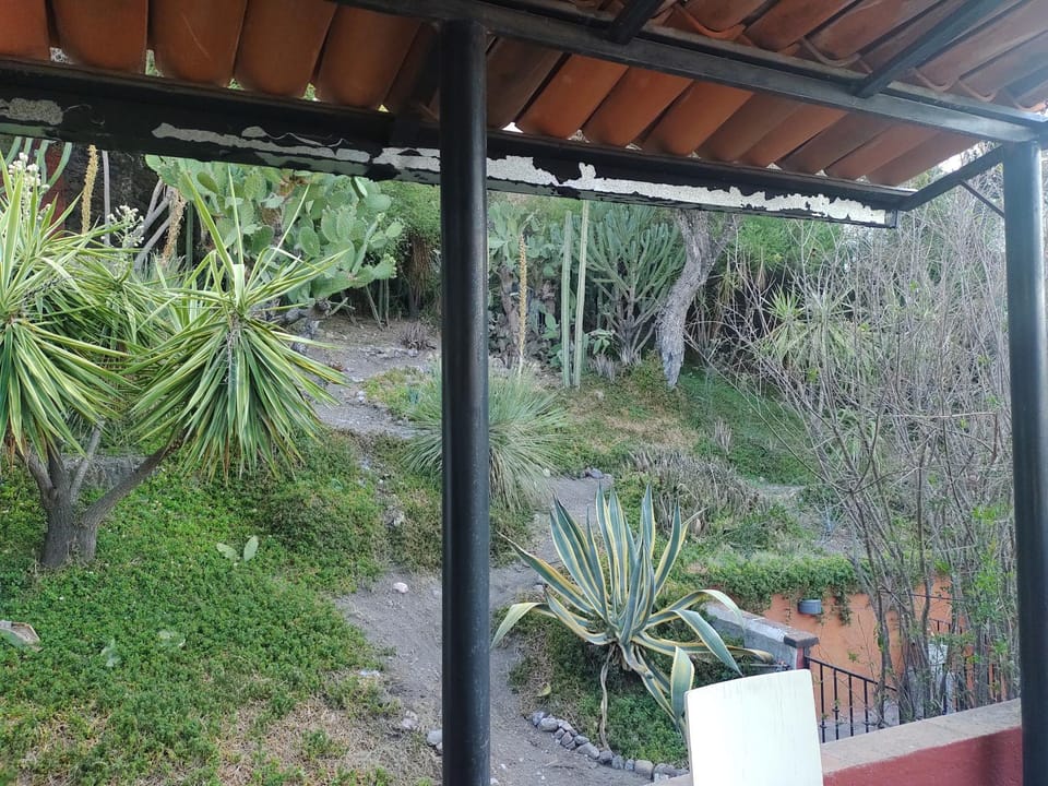 Spring, Garden, Garden view