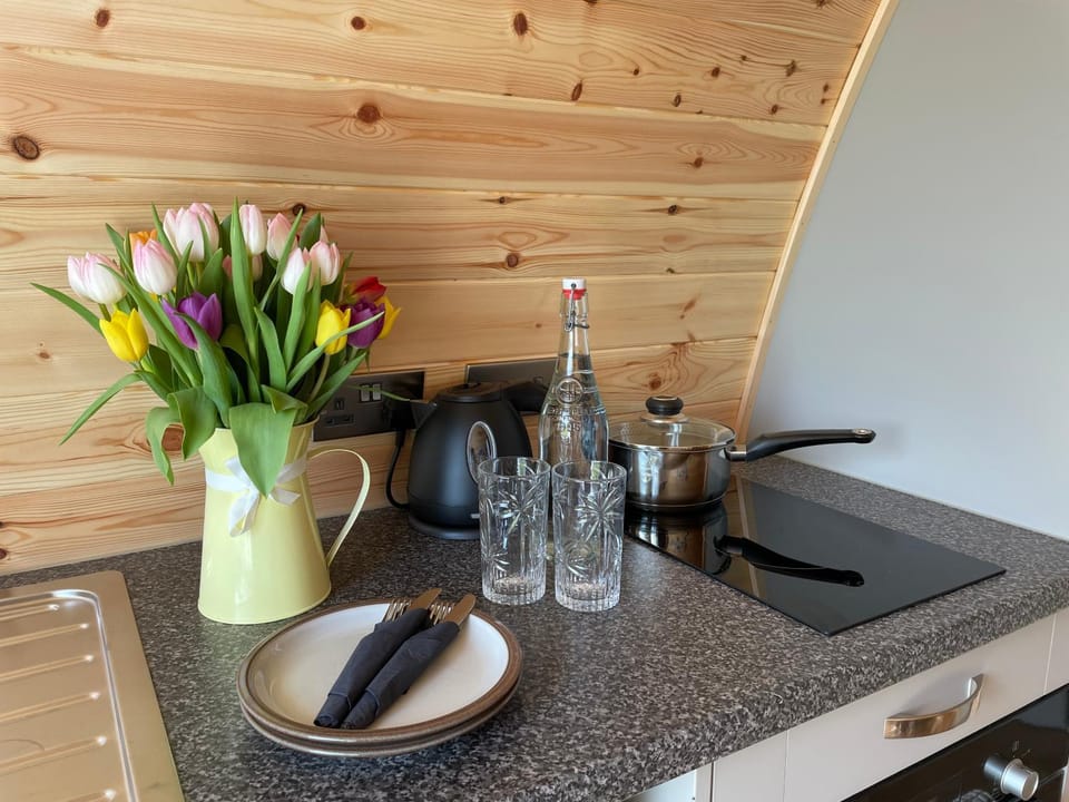 Kitchen or kitchenette, pet friendly, stove