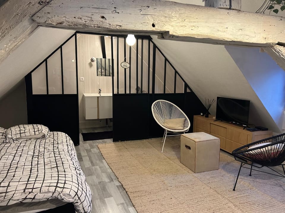 LE LOFT DU DOUBS Apartment in Besançon